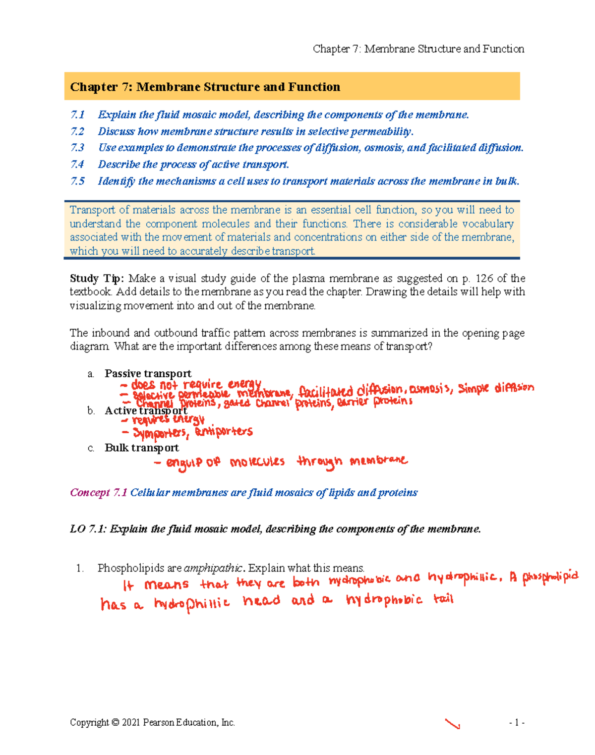 Chapter 7 - Copyright © 2021 Pearson Education, Inc. - 1 - Chapter 7 ...