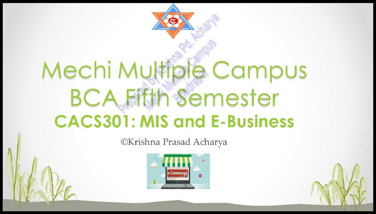 Unit 1 Management Information System Studocu