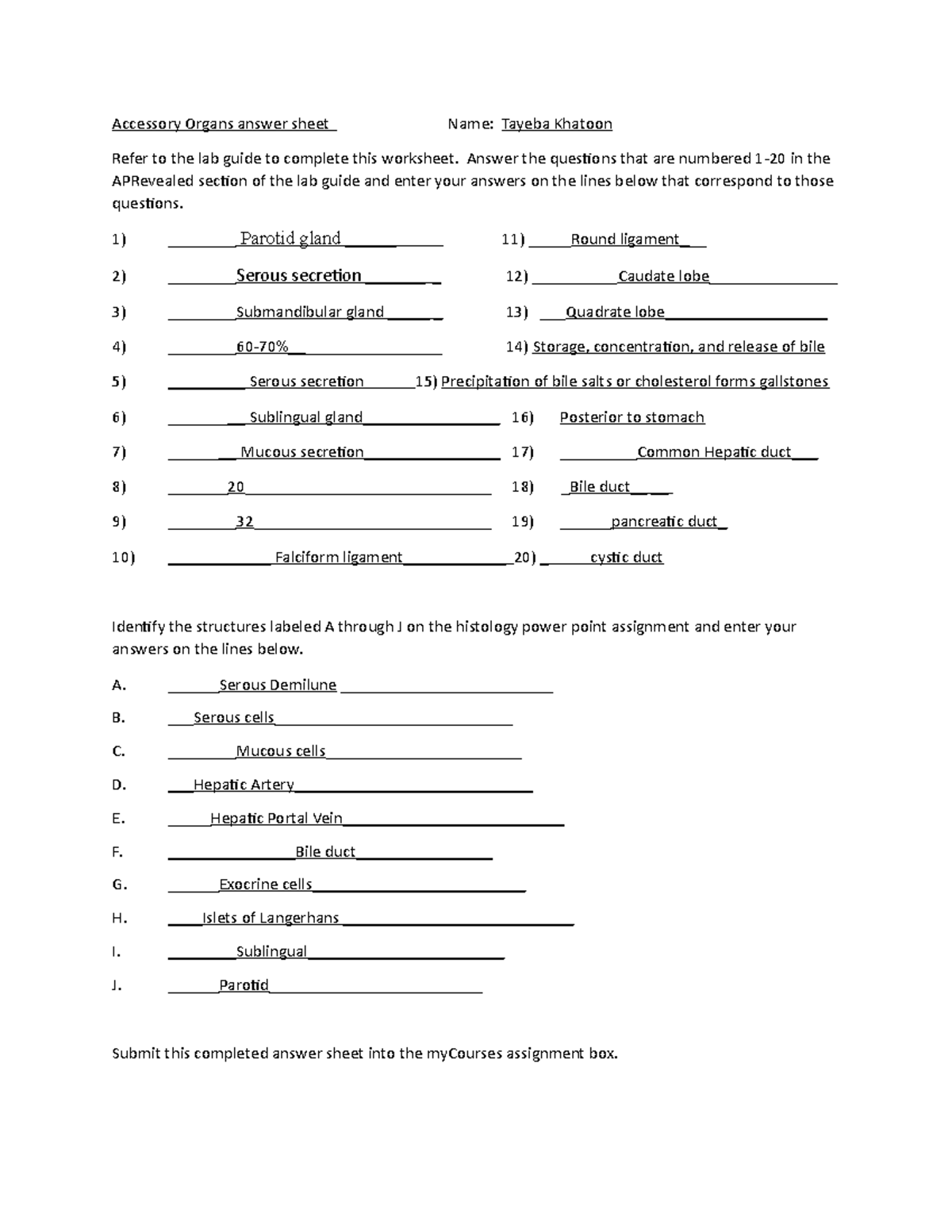 Accessory Organs Worksheet Accessory Organs answer sheet Name Tayeba