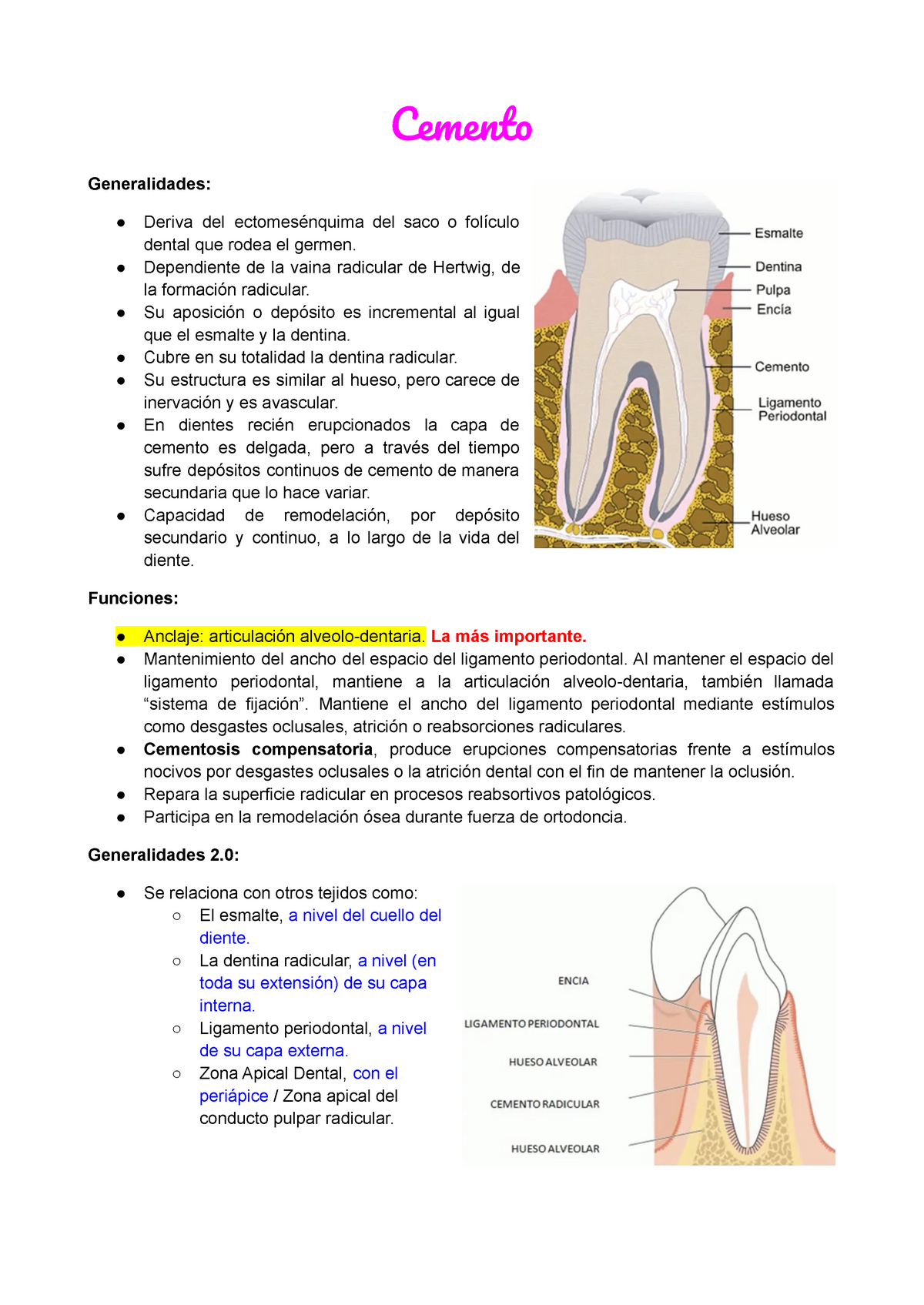 Resumen de Como se usa el Cemento en la Operatoria Dental o
