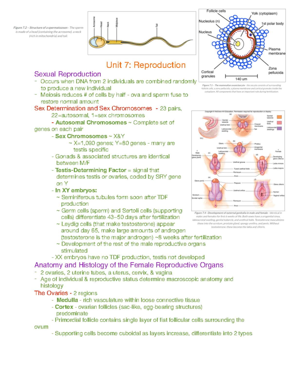 Unit 7 Reproductive System - Unit 7: Reproduction Sexual Reproduction ...