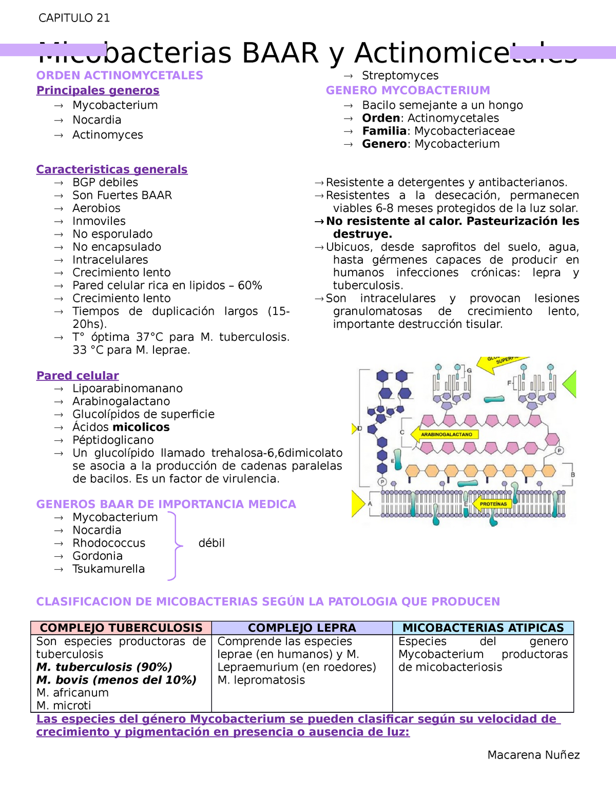 12. Bacterias Acido Alcohol Resistentes - Micobacterias BAAR y ...