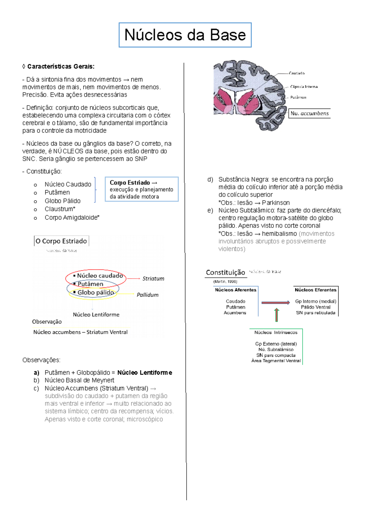 Núcleos da Base - Resumo do tema baseado em anotações de aula ...