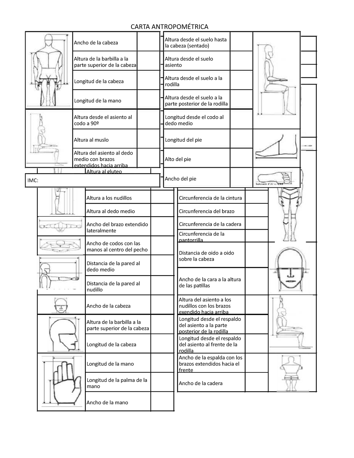 Carta Antropometrica Mano Extremidades Anatomía Images And Photos Finder