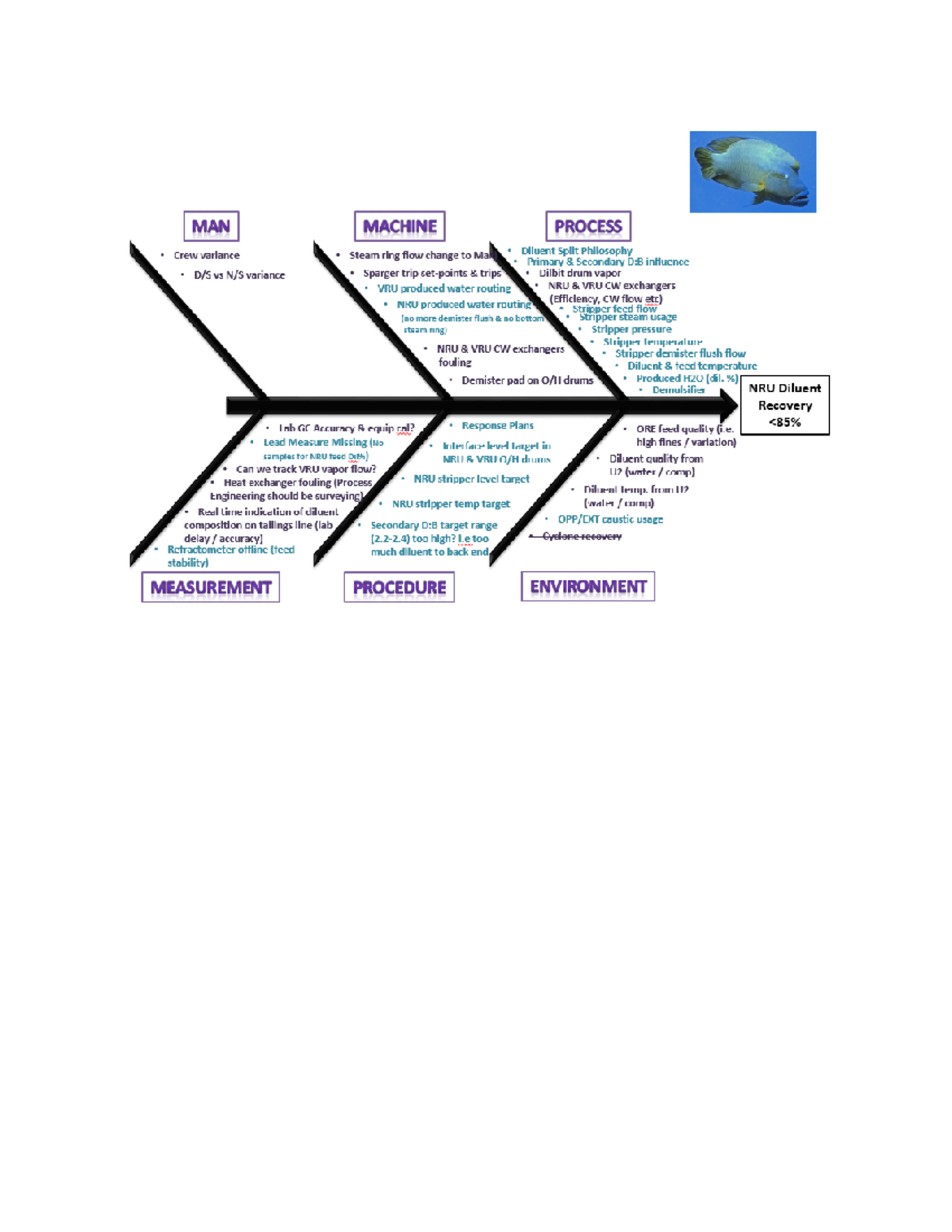 Fishbone - Working on LSS Green Belt - Ece532 - Studocu