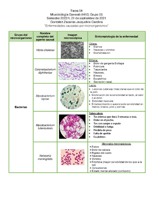 Examen Microbiologia - 1 .- ¿Cuáles Son Las 5 Pruebas Primarias Y Para ...