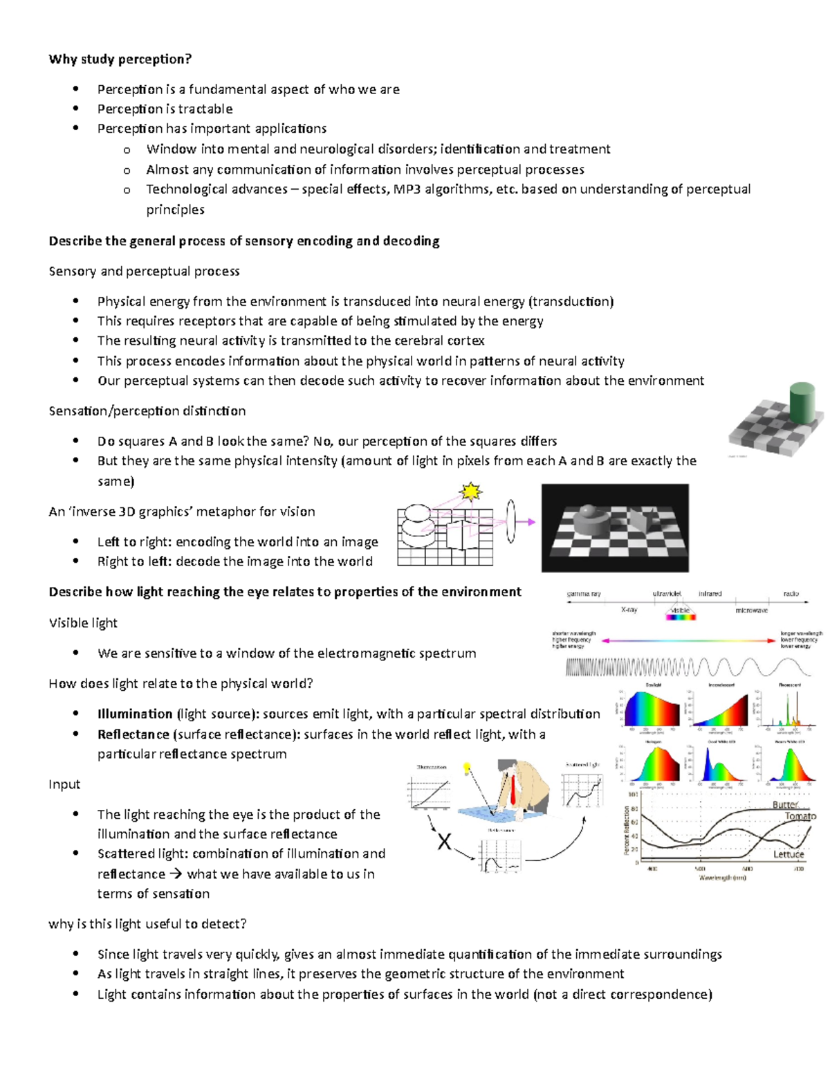 4. sensation and perception - Why study perception? Perception is a ...