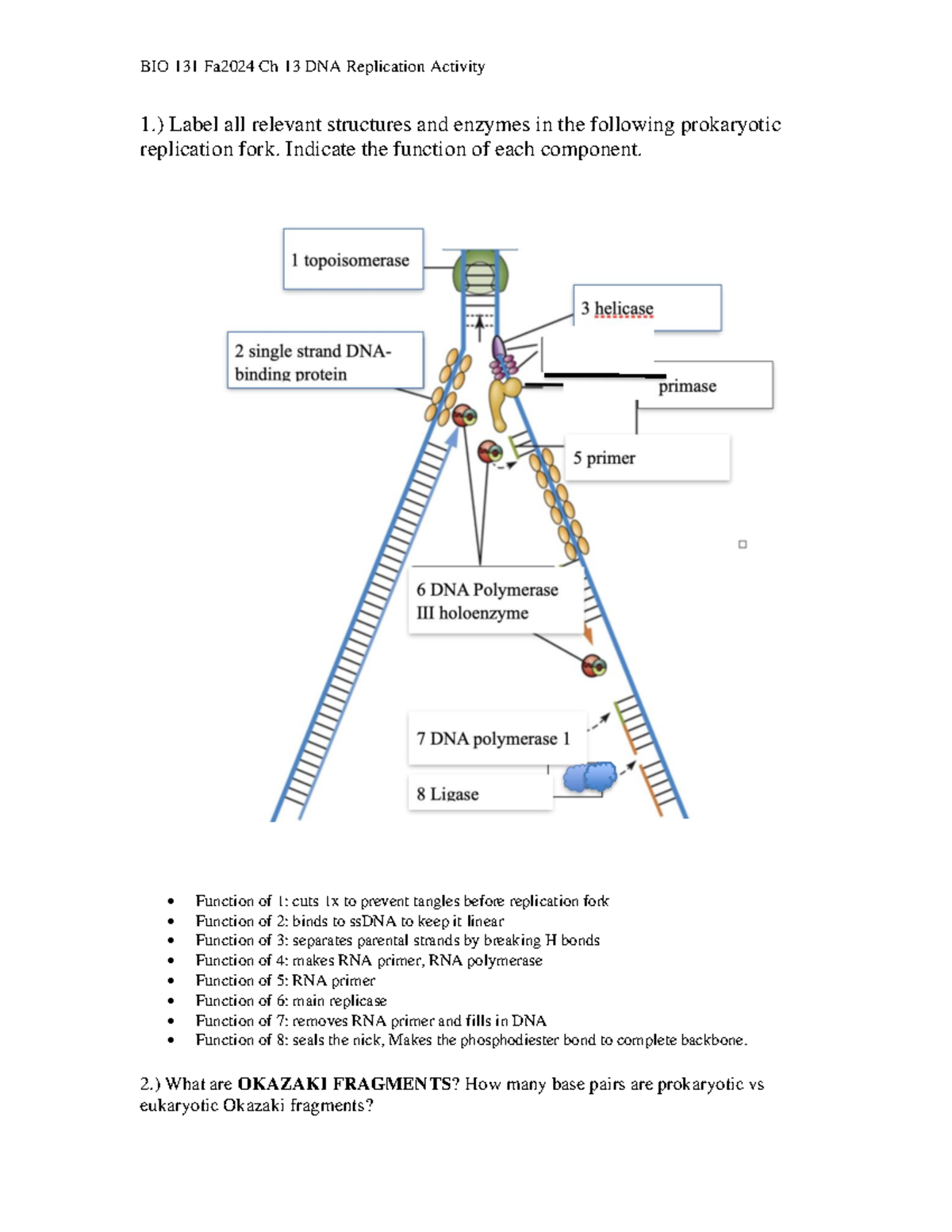 BIO 131 Wk 8 Ch 13 Replication Activity - 1.) Label all relevant ...