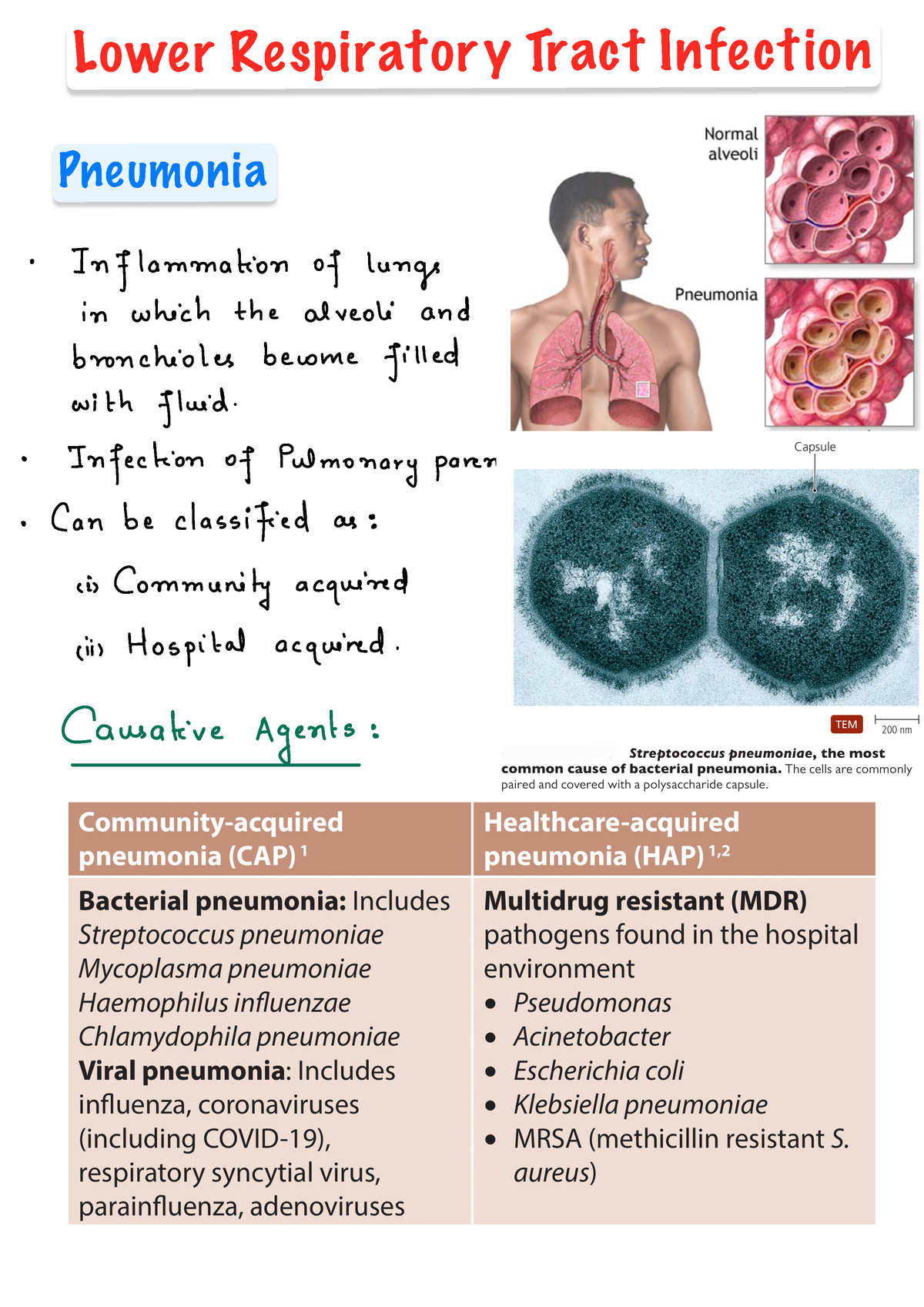 5. Lower Respiratory Tract Infection ( Pneumonia ) - Lower Respiratory ...