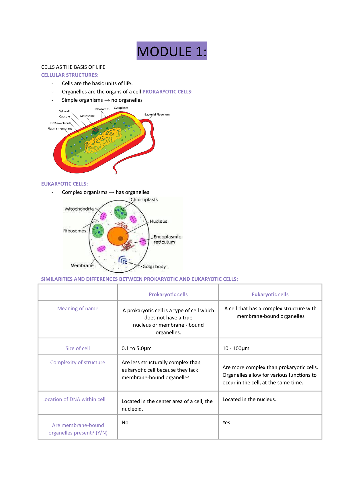 MOD 1 BIO - Bio - MODULE 1: CELLS AS THE BASIS OF LIFE CELLULAR ...