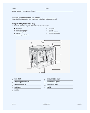 MA110 ROW 1 Chapter 24 - Row - ROW 1 - Chapter 2 4 Technology COMPUTER ...