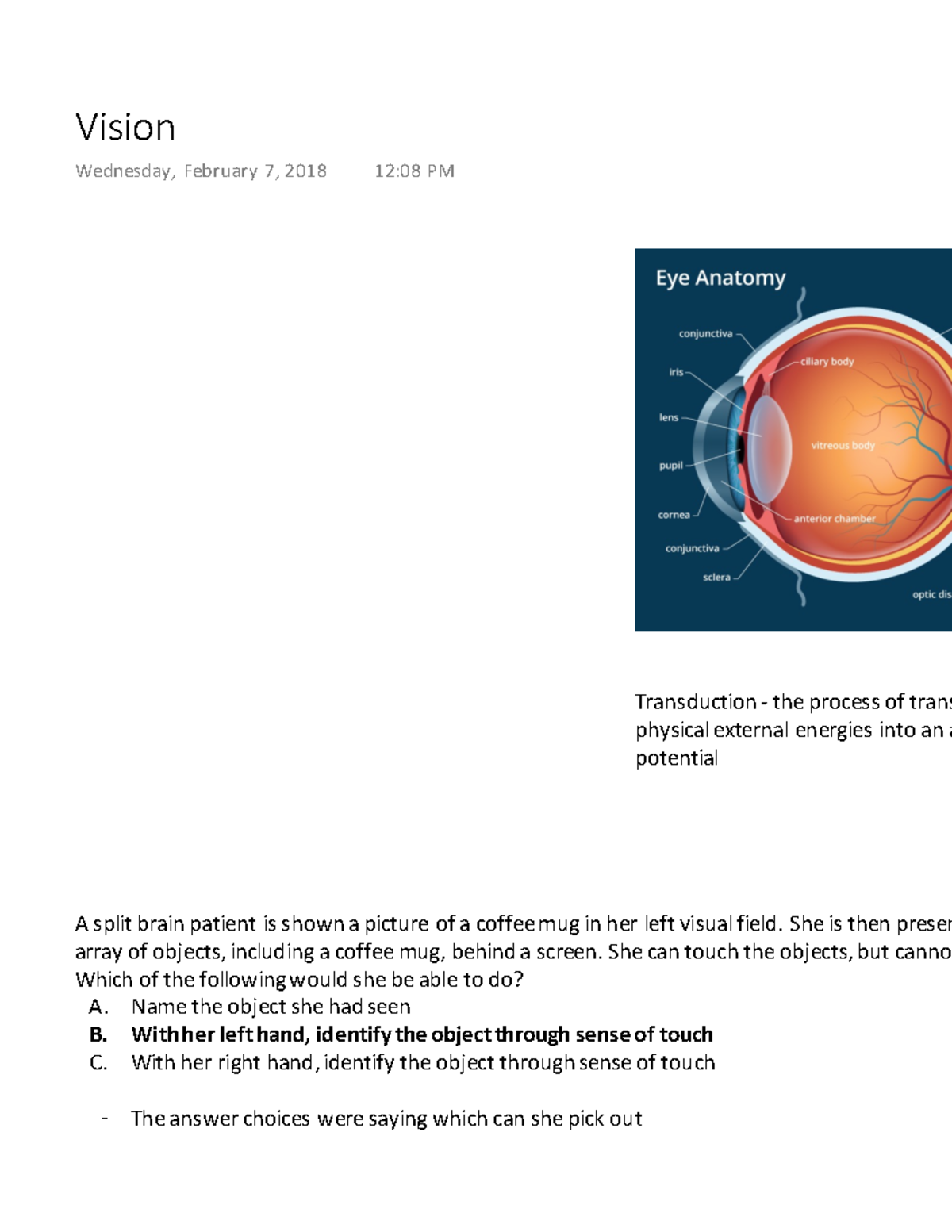 Vision - Lecture notes 31 - Vision Wednesday, February 7, 2018 12:08 PM ...
