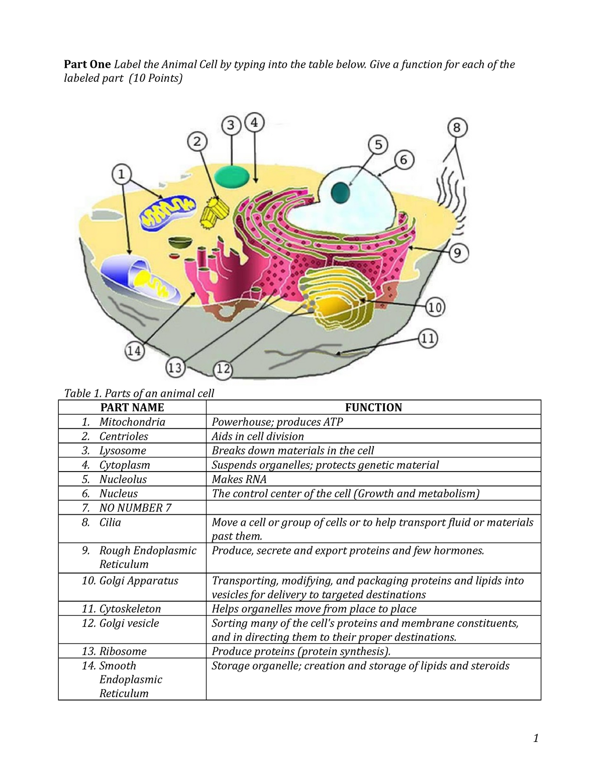 Structure And Functions Of The Parts Of A Cell Part One Label The 