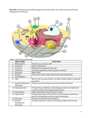 Structure and Functions of the Parts of a Cell - Part One Label the Animal  Cell by typing into the - Studocu