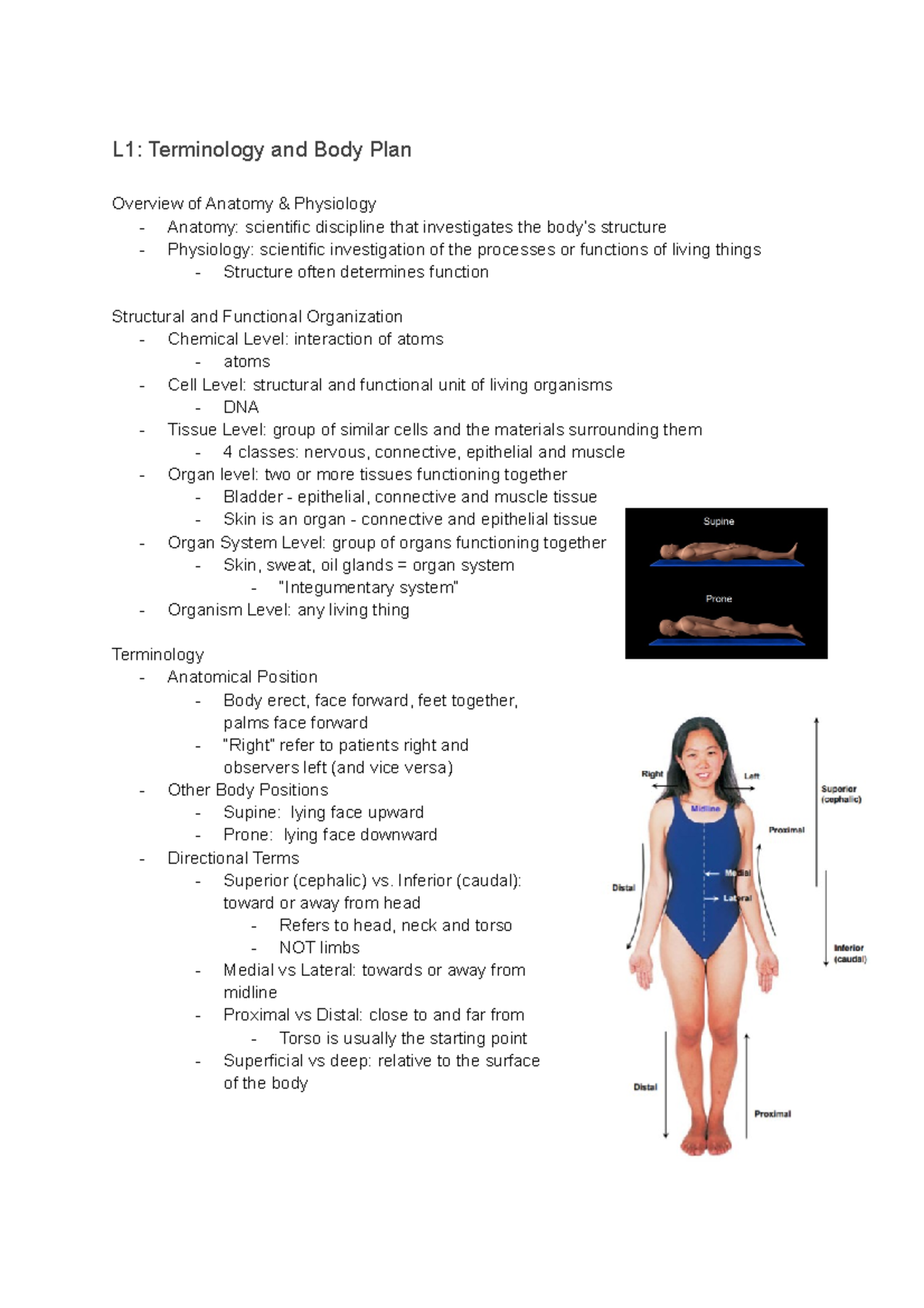 Kinesiol 2Y03 - Lecture Notes 1-6 - L1: Terminology And Body Plan ...