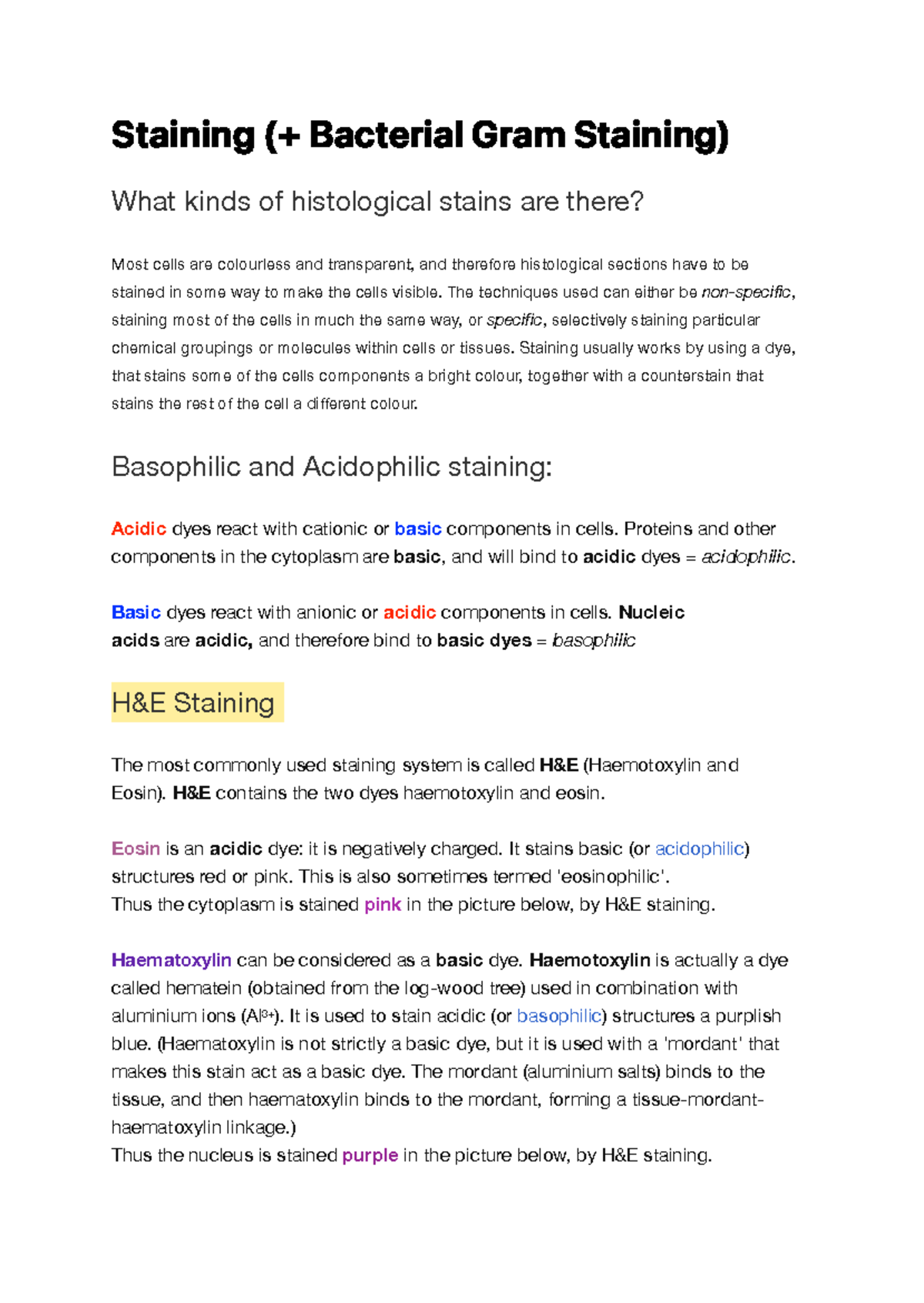 Staining (Bacterial Gram Staining) - S ta i n i n g ( + B a c te r i a ...