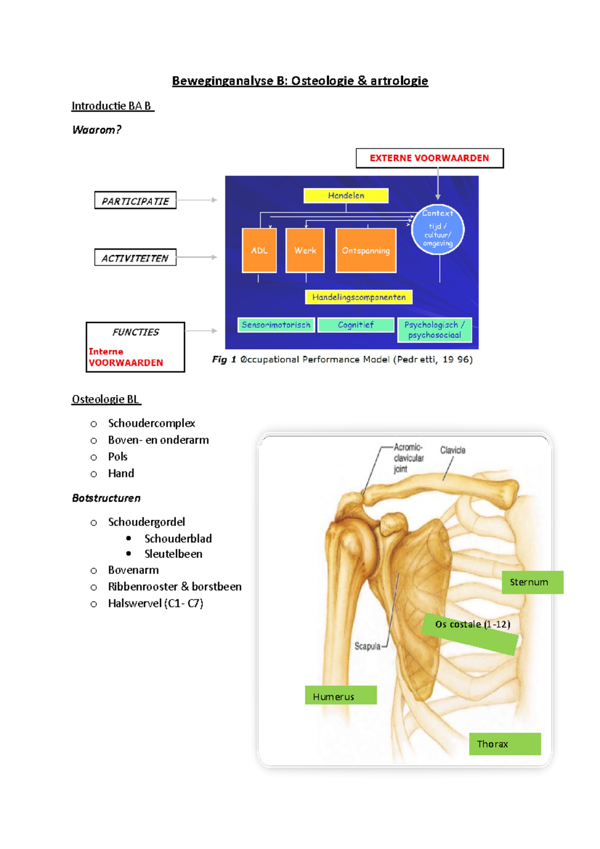 Samenvatting Bewegingsanalyse Deel I - Beweginganalyse B: Osteologie ...