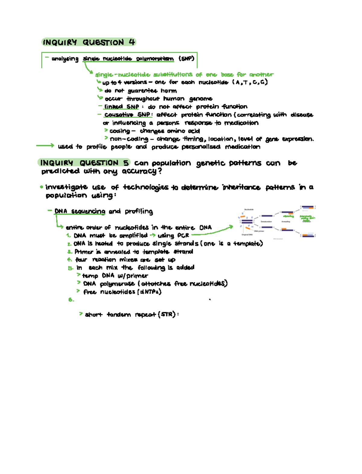 Biology 2022 heredity topic notes - INQUIRY QUESTION 4 analysing single ...