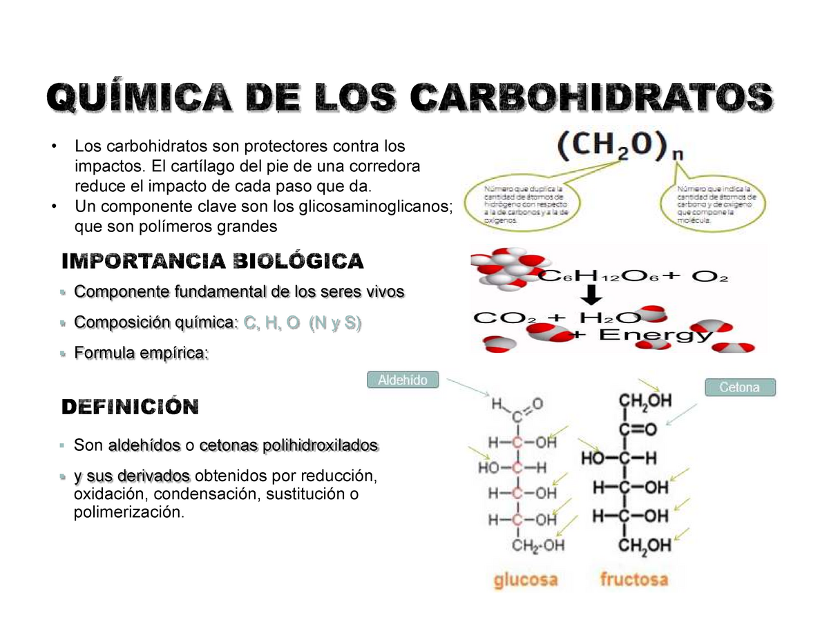 Bioqu Mica De Los Carbohidratos Los Carbohidratos Son Protectores Sexiz Pix 2292