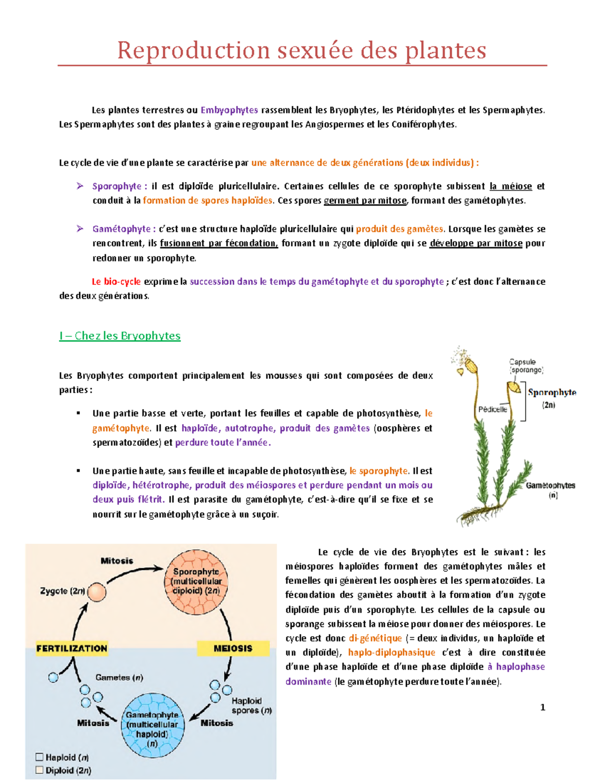 Biologie Reproduction Sexuée Des Plantes Reproduction Sexuée Des Plantes Les Plantes 3273