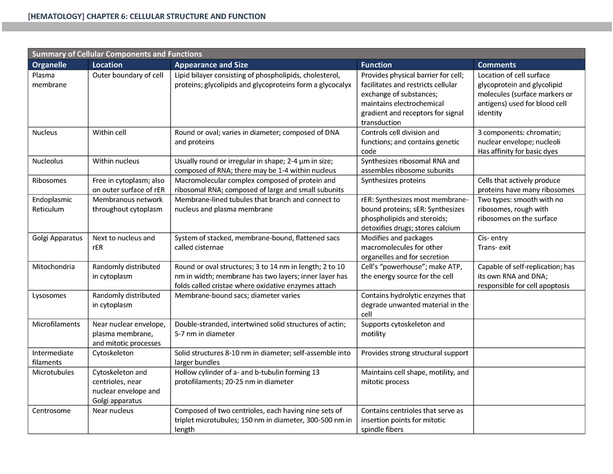 [HEMA] Chapter 6- cellular structure and function (notes) - Medical ...