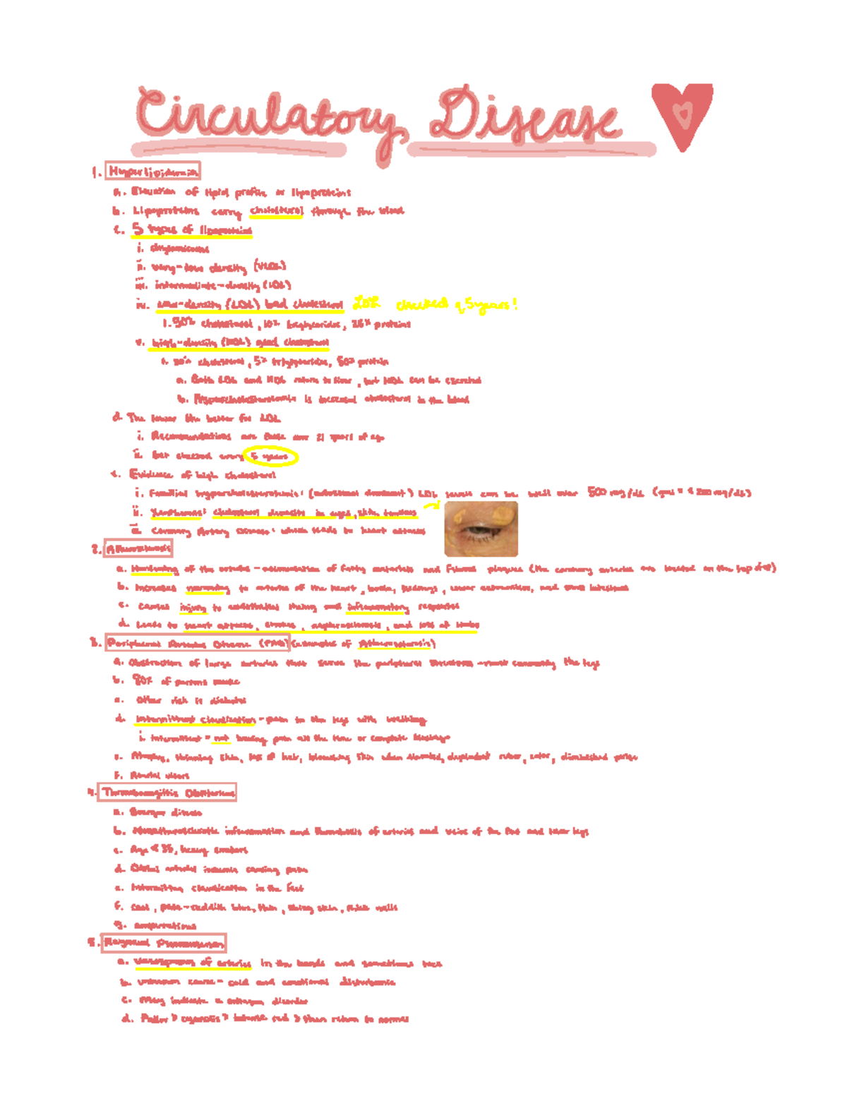 Pathophysiology Cardiac Notes - Deprecated API usage: The SVG back-end ...