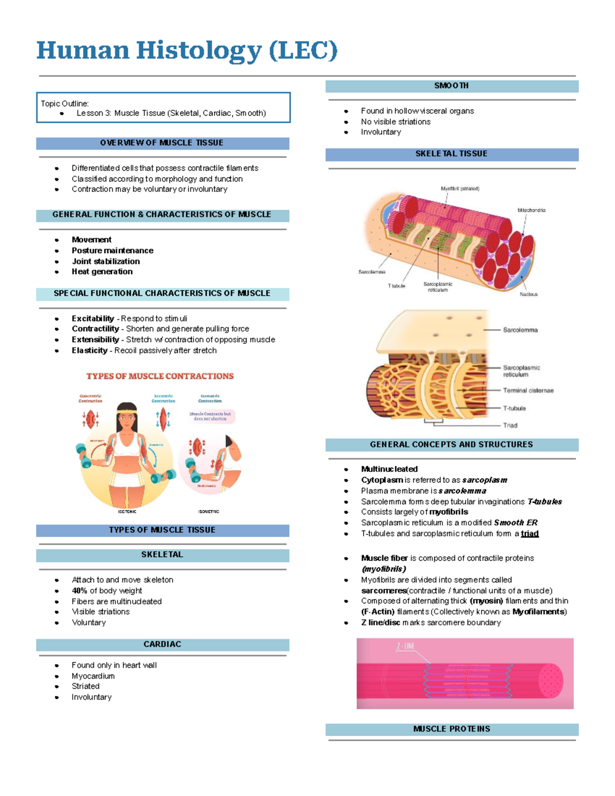 Histo LEC Transes - Muscle Tissue - Topic Outline: Lesson 3: Muscle ...