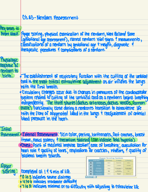 Maternal newborn exam #3 - EXAM Lecture Book Ch. When assessing the ...