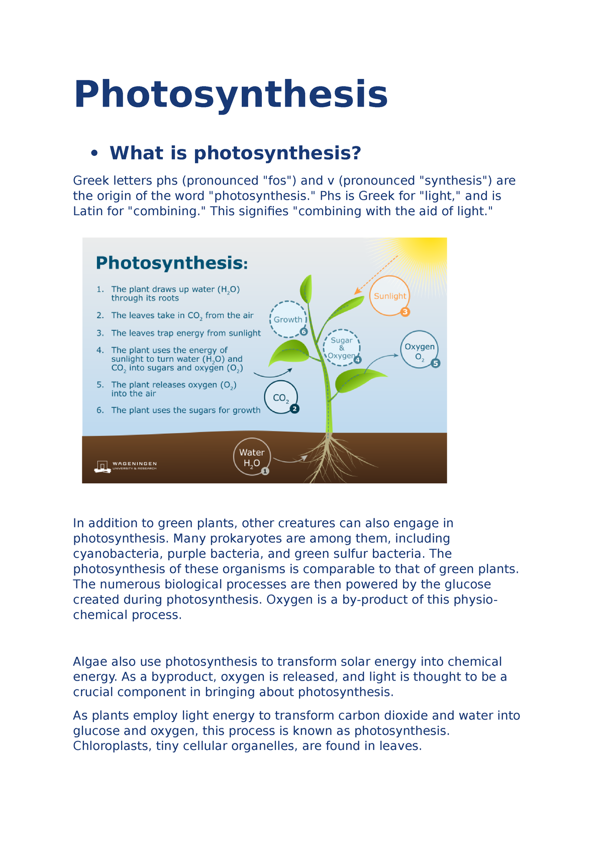 photosynthesis-photosynthesis-what-is-photosynthesis-greek-letters