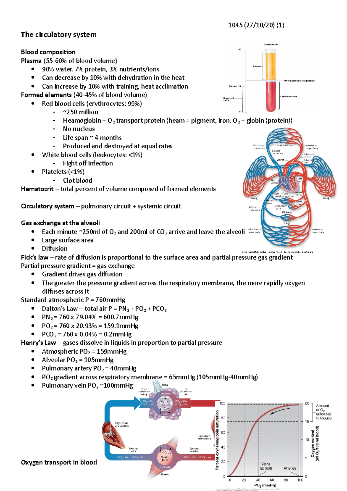 The Circulatory System - The circulatory system Blood composition ...