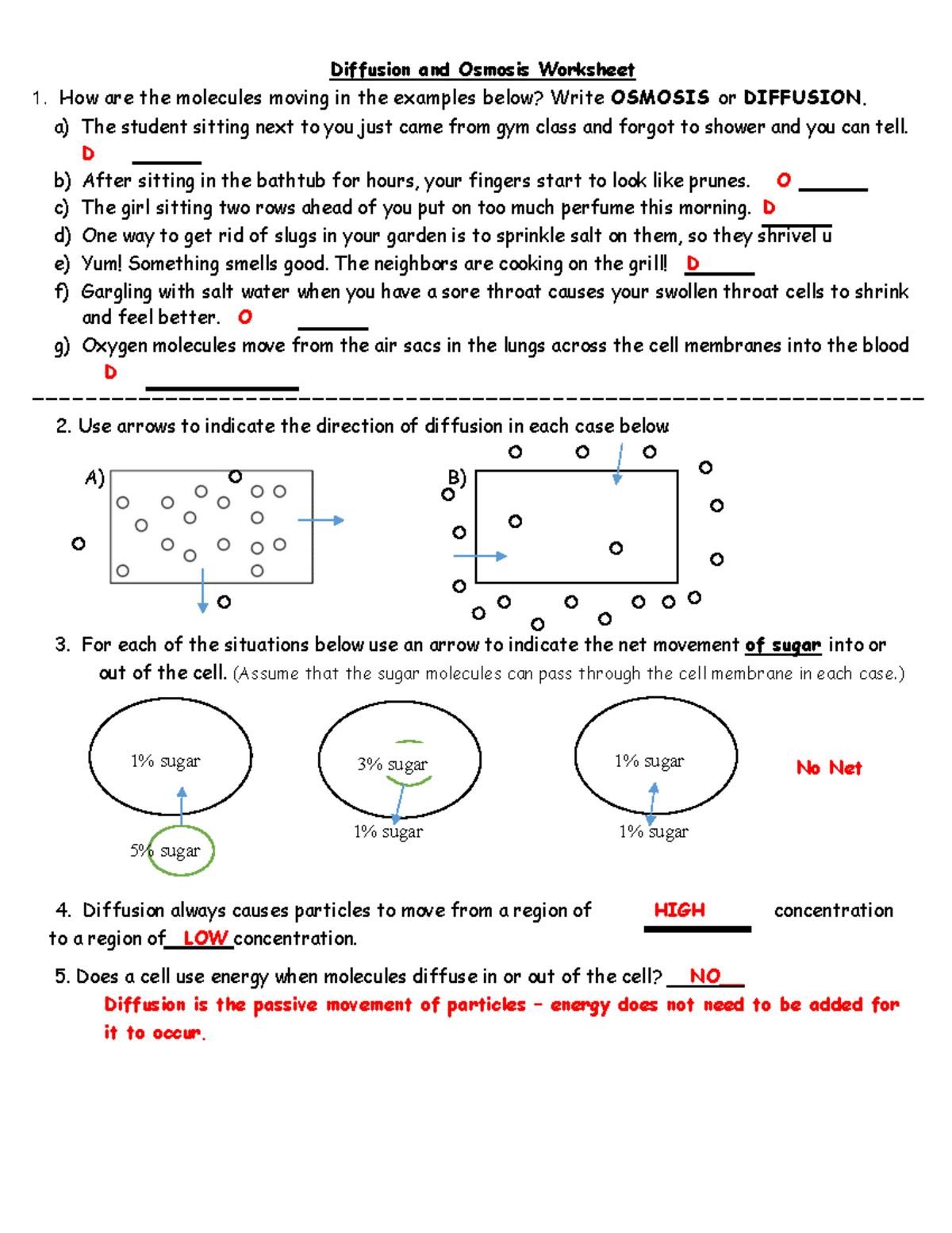Diffusion amp osmosis worksheet answers - Diffusion and Osmosis Worksheet  How are the molecules - Studocu