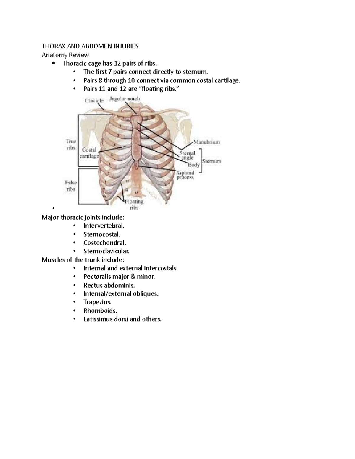 Ch 13 - instructor: angela brown, thorax and abdomen injuries - THORAX ...