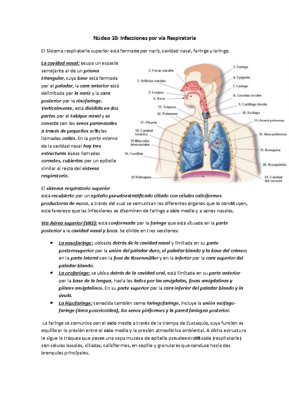 Núcleo 10- Infeccion Respiratoria Adn - Núcleo 10: Infecciones Por Vía 