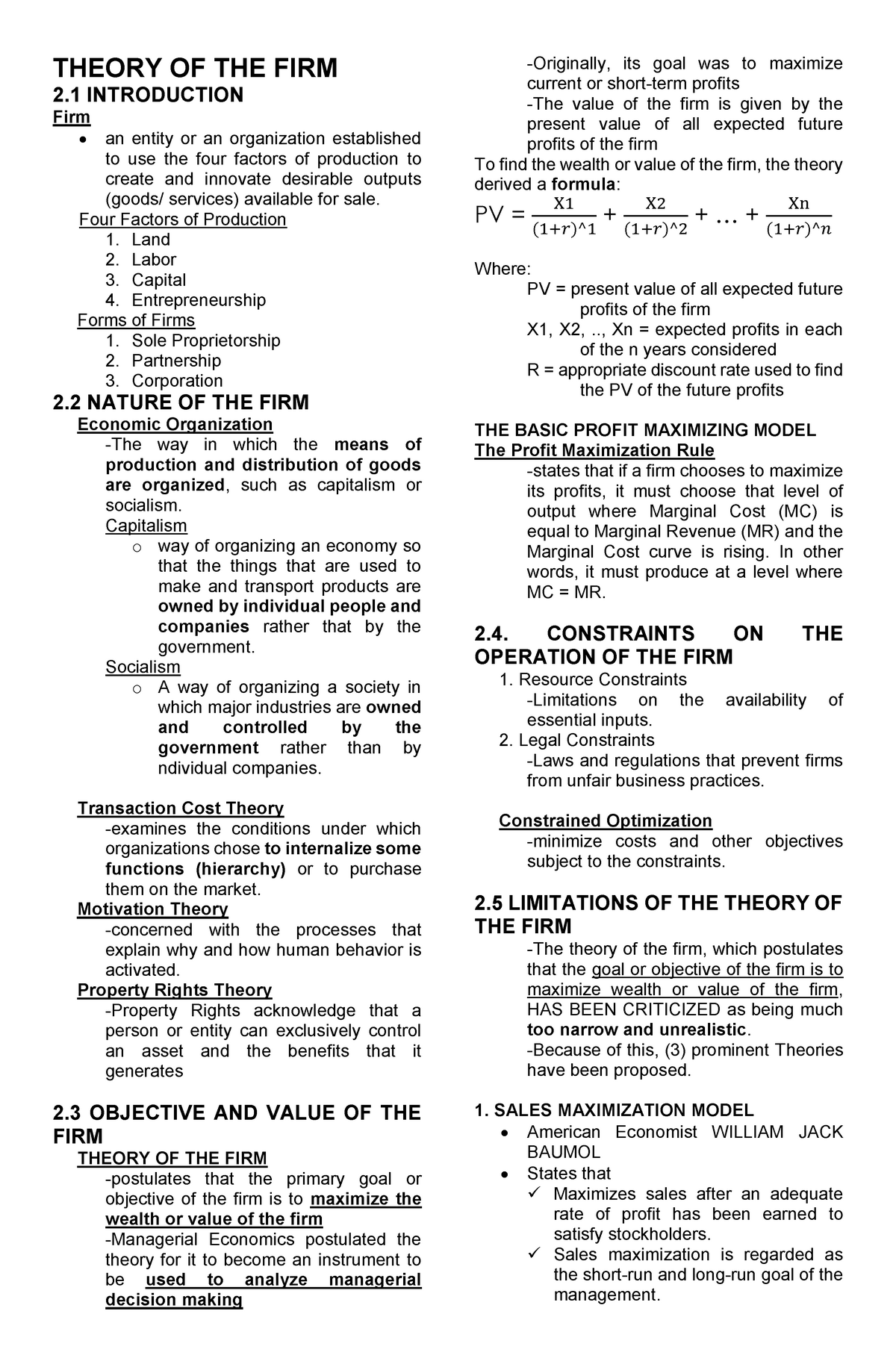 literature review theory of the firm