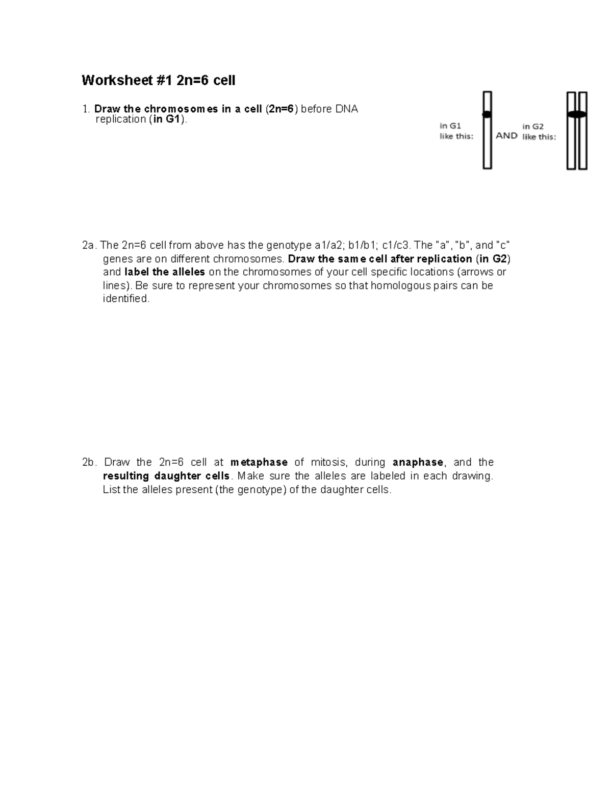 Worksheet#1 - It Is The First Worksheet Of This Course - Worksheet #1 ...