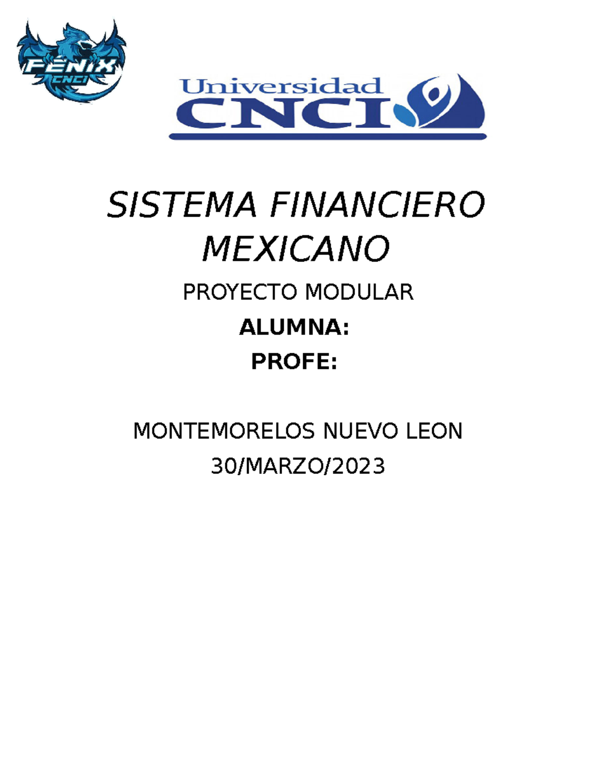 Sistema Financiero Proyecto Modular - SISTEMA FINANCIERO MEXICANO ...