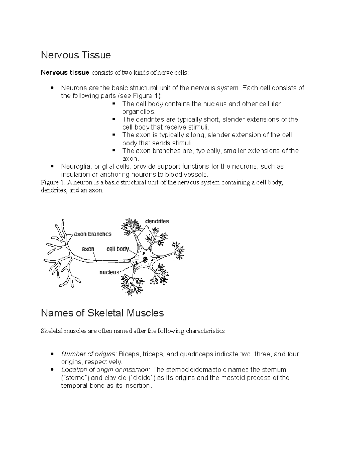 Anatomy notes Nervous Tissue Nervous tissue consists of two kinds