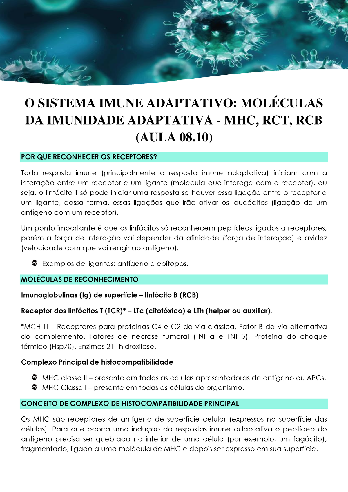 O Sistema Imune Adaptativo (AULA 08.10) Terminado - O SISTEMA IMUNE ...