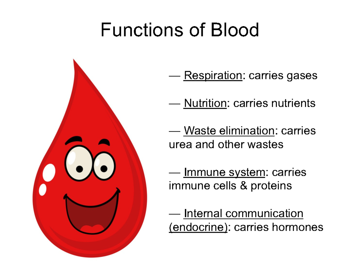 2 Blood annotated notes MID1 - Functions of Blood — Respiration ...