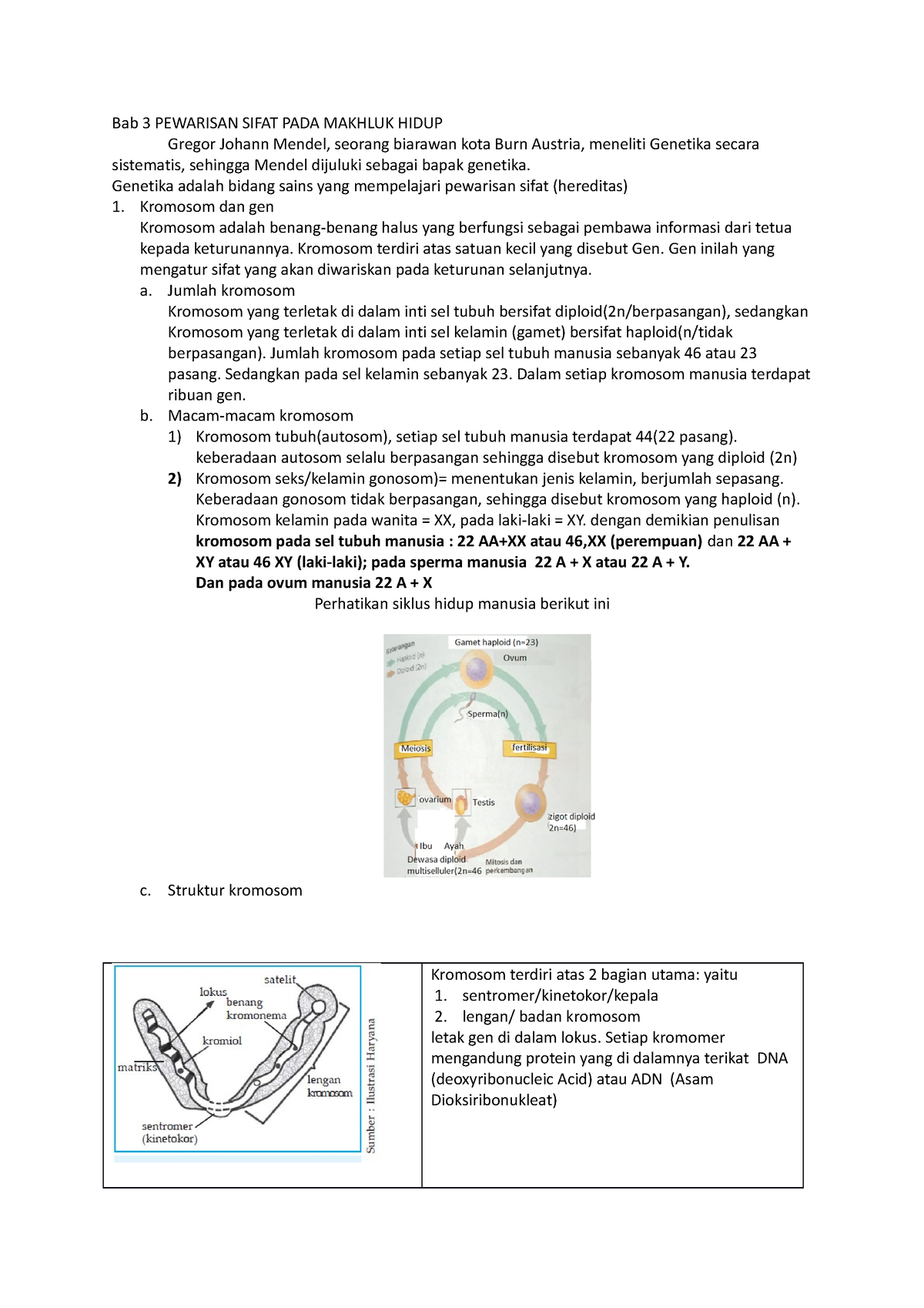 Materi Bab 3 Kromosom Dan Gen - Bab 3 PEWARISAN SIFAT PADA MAKHLUK ...