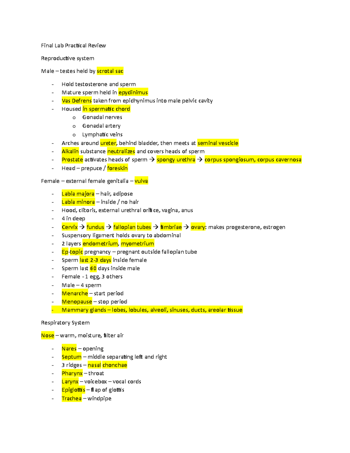 Lab final exam Final Lab Practical Review Reproductive system Male