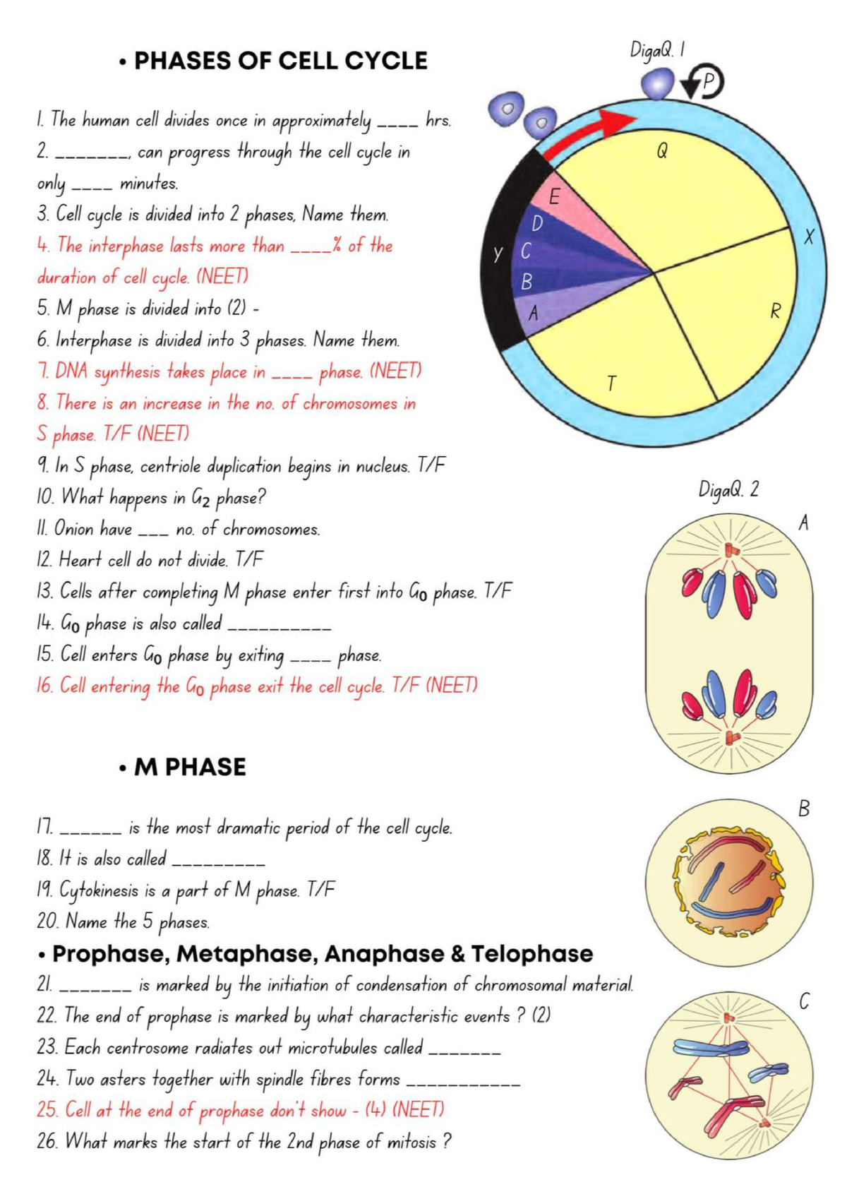 [Cell cycle and Cell Division] - 1 - NEET - Studocu