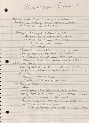 Neuroscience notes - neuroscience notes pages 503- nervous system ...