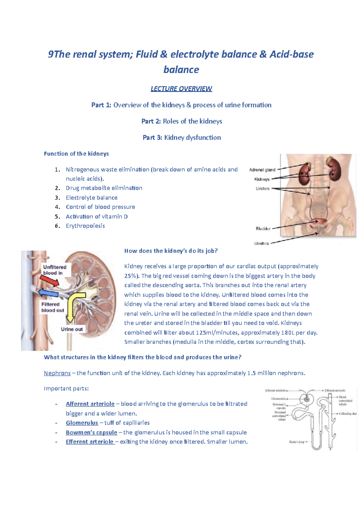 The renal system - 9The renal system; Fluid & electrolyte balance ...