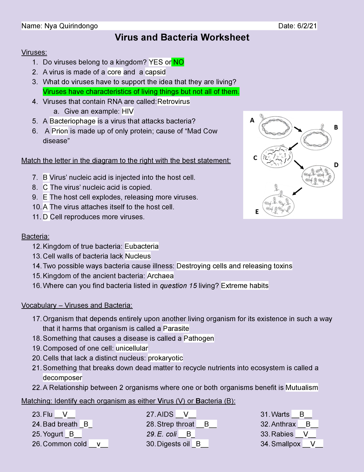 Copy of Virus and Bacteria Worksheet - Name: Nya Quirindongo Date Pertaining To Virus And Bacteria Worksheet Answers