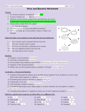 Copy of Virus and Bacteria Worksheet - Name: Nya Quirindongo Date: 6/2/  Virus and Bacteria Worksheet - Studocu