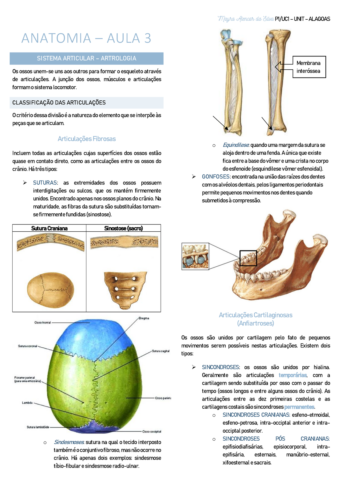 Anatomia Uc1 Aula3 Articular Studocu