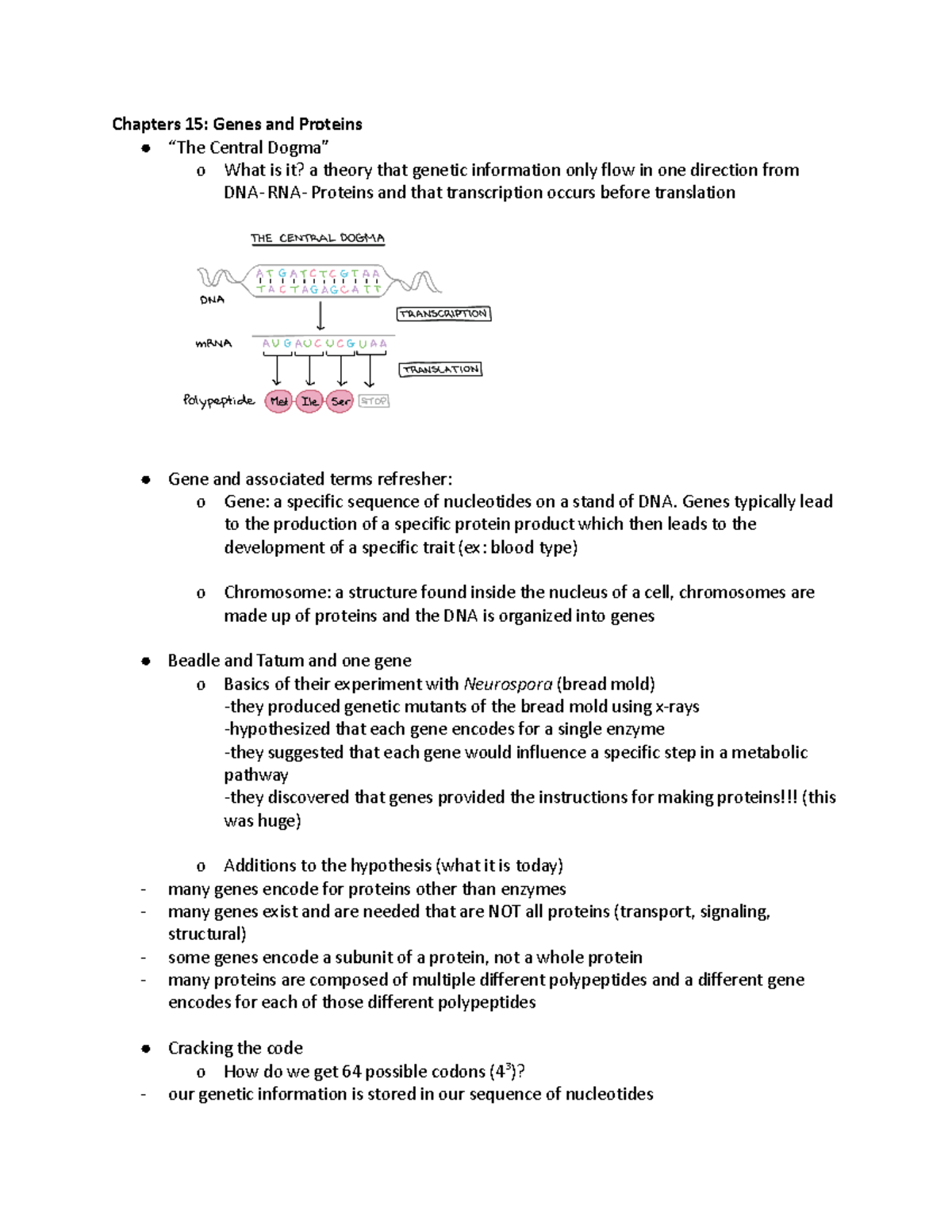 Chapter 15 - Chapters 15: Genes and Proteins “The Central Dogma” o What ...
