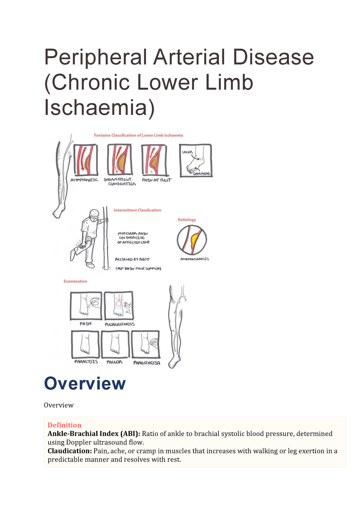 Vascular - Peripheral Arterial Disease (Chronic Lower Limb Ischaemia ...