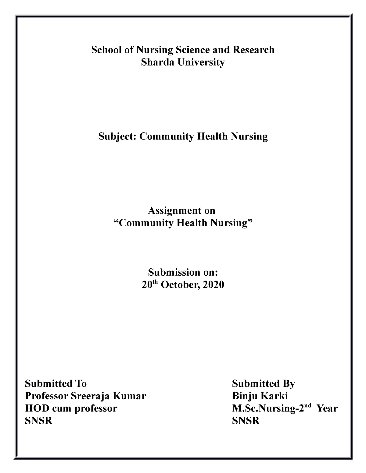 community health nursing assignments